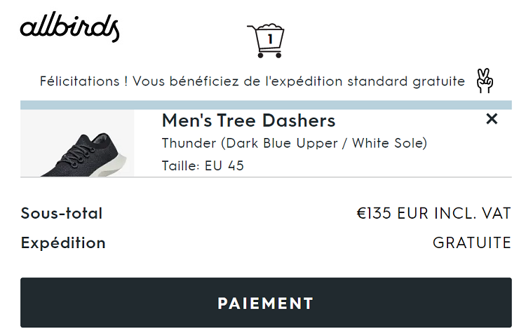 commander-boutique-ligne-AllBirds