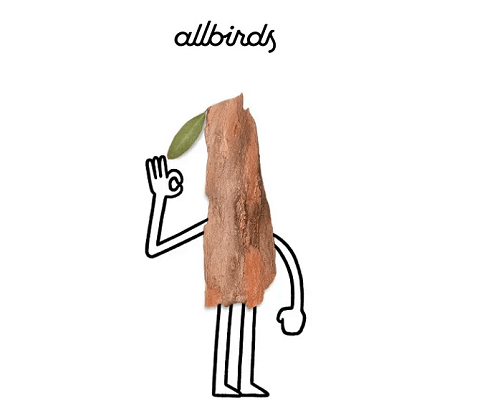 materiaux-naturels-bois-chaussures-AllBirds